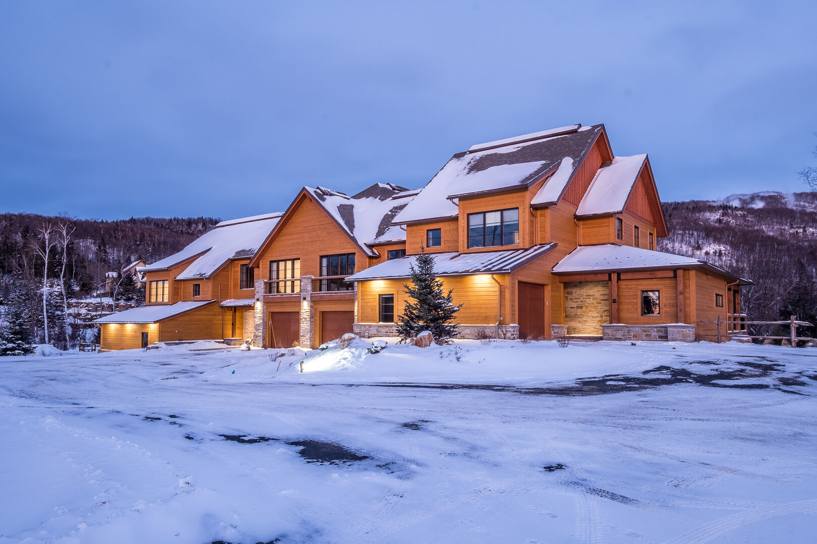 Airbnbs près de Tremblant