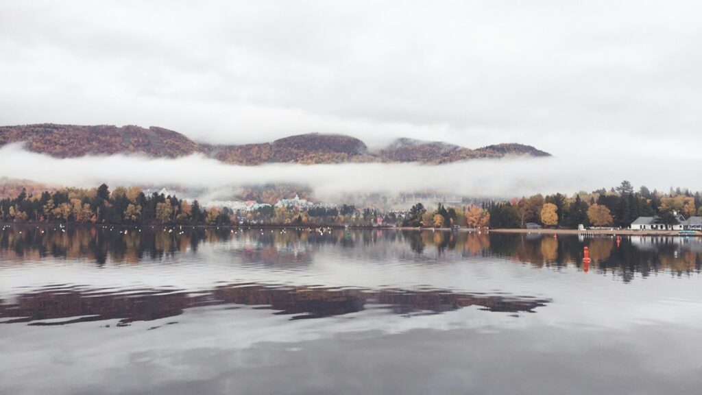 Lake with fog